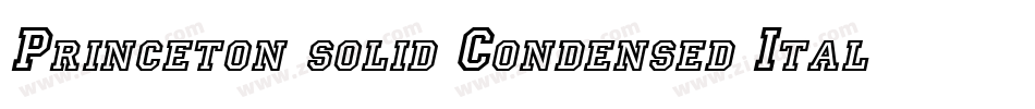 Princeton solid Condensed Italic字体转换